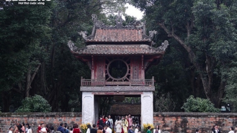 Perjalanan Kembali ke Tanah Warisan di Awal Musim Semi