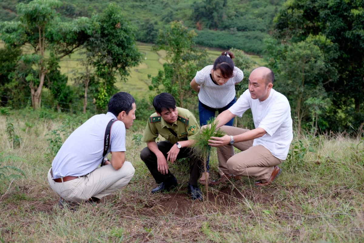 Baku Takahashi (primero a la derecha), experto de JICA, orienta la labor de reforestación en la comuna de Muong Phang, provincia norvietnamita de Dien Bien. Foto: JICA