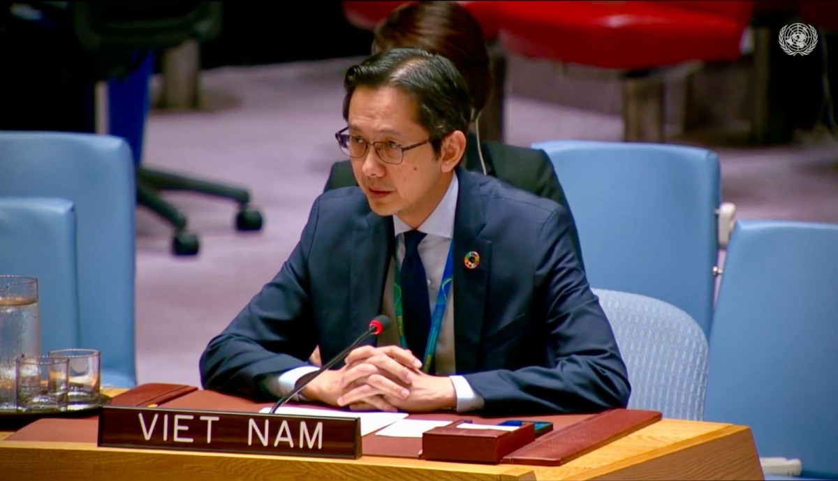 Do Hung Viet, Permanent Representative of Vietnam to the UN