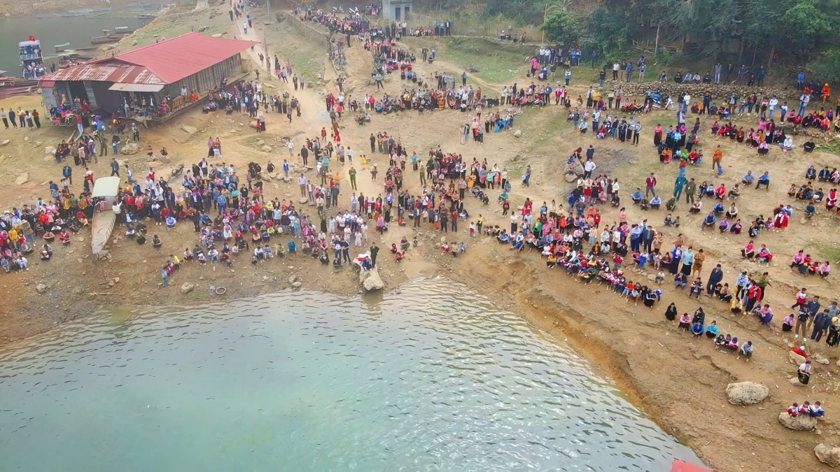 축제에서 다양한 문화, 스포츠 활동들이 마련되었다.