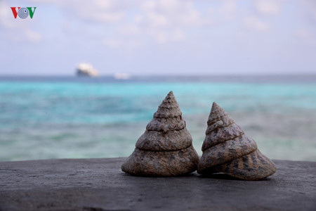 bien troi truong sa - nhung khoanh khac lang man hinh 14